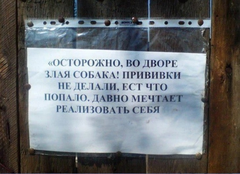 16 plates from the owners with a great sense of humor