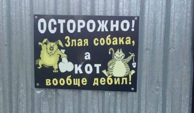 16 platos de los propietarios con un gran sentido del humor