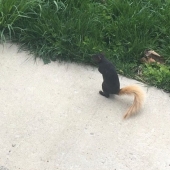 16 times nature tried to confuse us and really succeeded