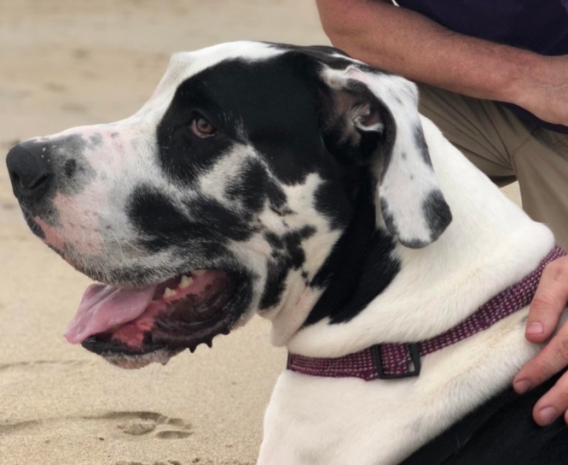 17 fotos fascinantes que te sorprenderán