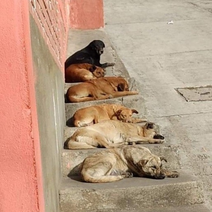 17 fotos fascinantes que te sorprenderán