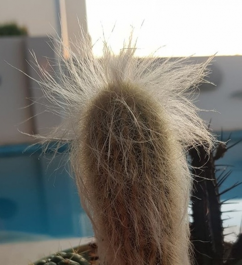 17 fotos fascinantes que te sorprenderán