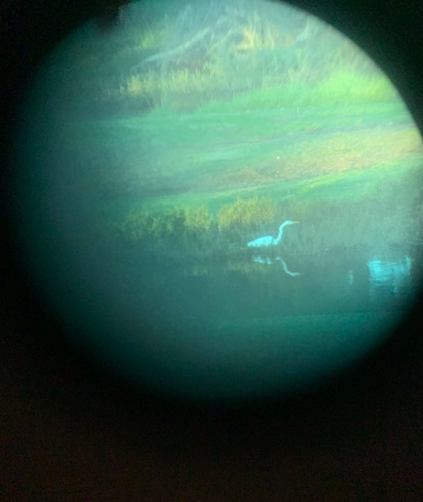 17 mesmerizing photos that will tease your mind 17 mesmerizing photos that will tease your mind