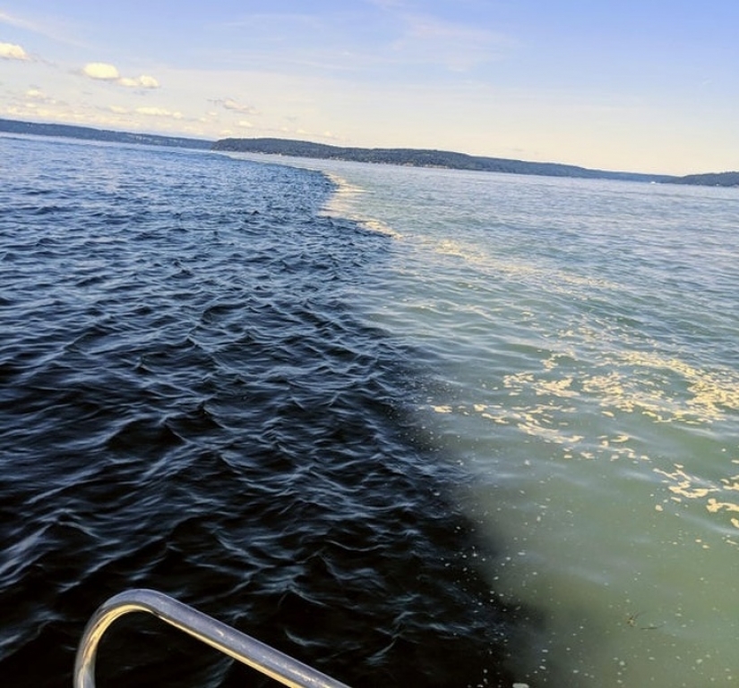 17 mesmerizing photos that will tease your mind 17 mesmerizing photos that will tease your mind