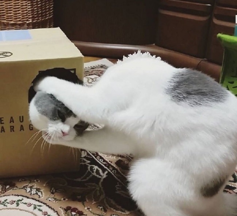 17 photos that take on a different meaning the longer you look at them 17 photos that take on a different meaning the longer you look at them