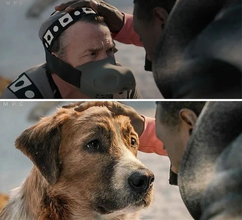 18 entertaining pictures top movies with green screen and other tricks 18 entertaining pictures top movies with green screen and other tricks