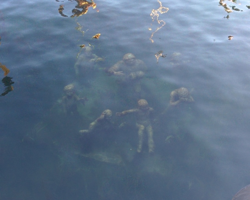 18 fotos que te pondrán la piel de gallina