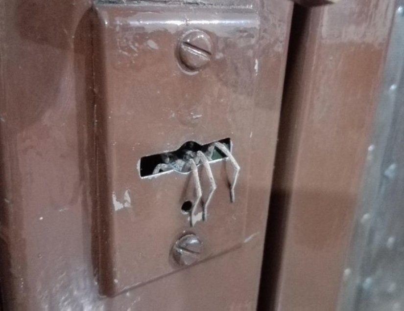 18 fotos que te pondrán la piel de gallina