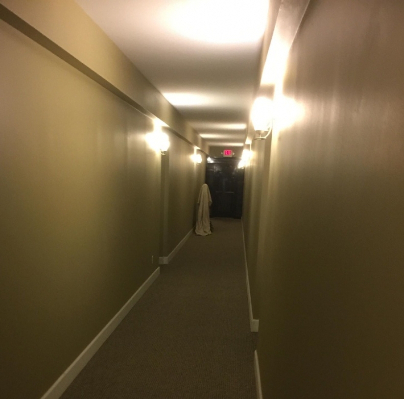 18 fotos que te pondrán la piel de gallina