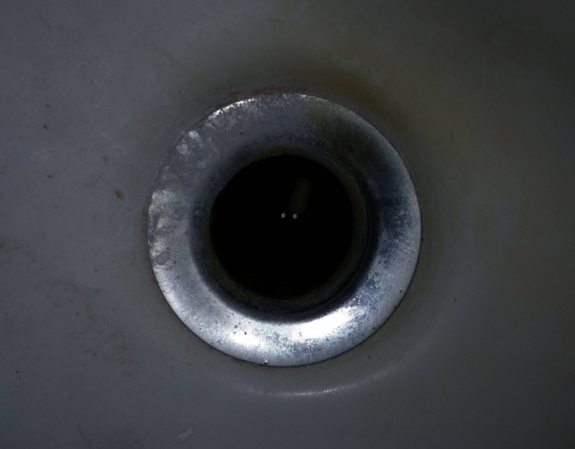 18 fotos que te pondrán la piel de gallina