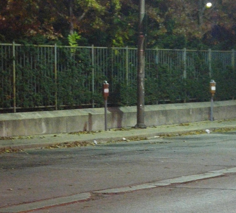 18 fotos que te pondrán la piel de gallina