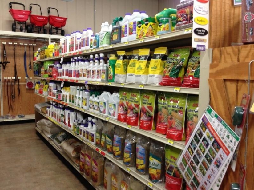 19 artículos, que no debe ser tirado a la basura 19 artículos, que no debe ser tirado a la basura