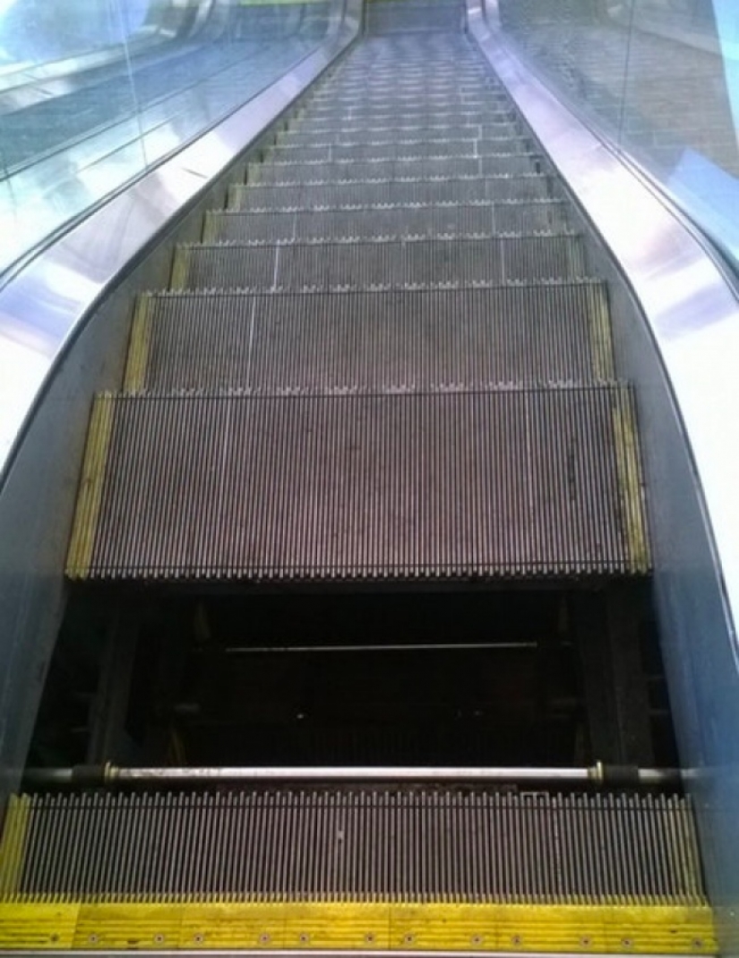 19 fotos que podrían asustarte muchísimo