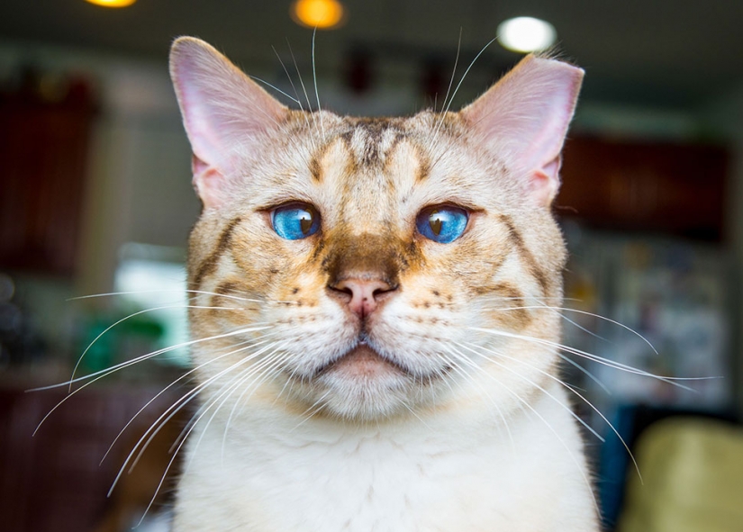 19 historias de mujeres embarazadas sobre cómo un gran vientre ejerce presión sobre el cerebro 19 historias de mujeres embarazadas sobre cómo un gran vientre ejerce presión sobre el cerebro