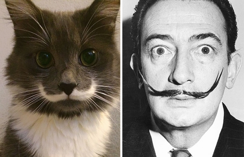 20 celebrities and their animal counterparts 20 celebrities and their animal counterparts
