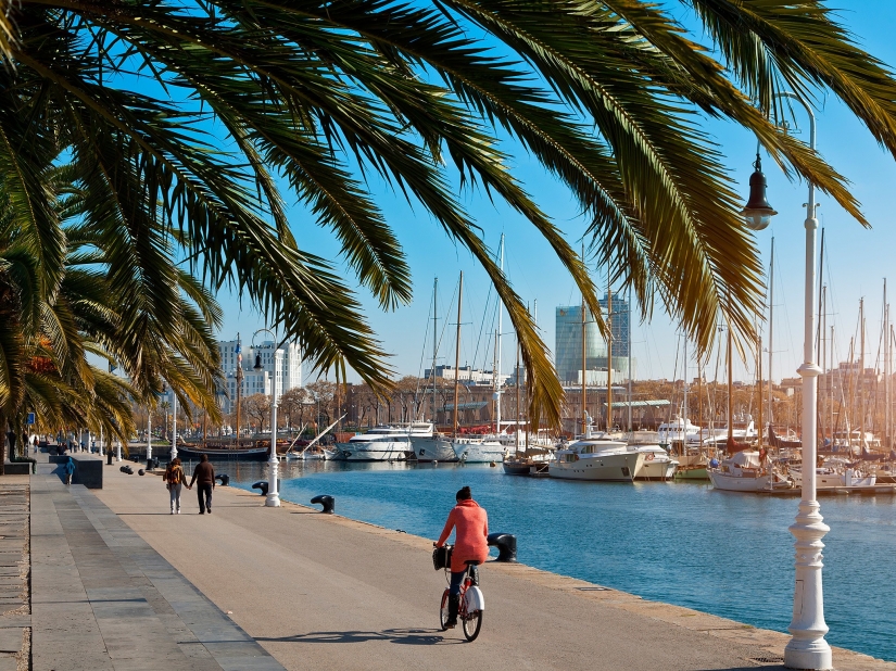 20 ciudades más ciclistas del mundo