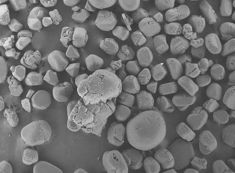 20 datos interesantes sobre la Antártida que no sabías 20 datos interesantes sobre la Antártida que no sabías