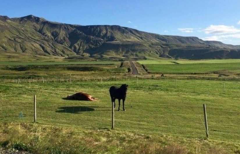 20 fotos que te dejarán perplejo