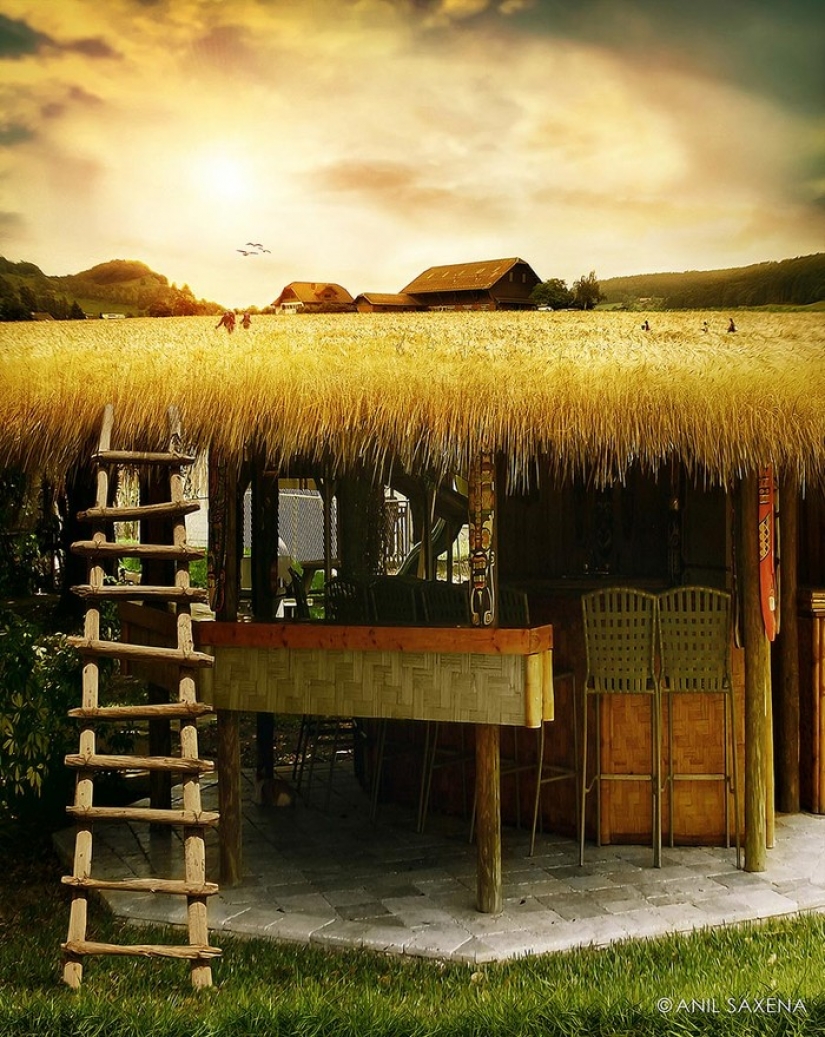 20 fun photo manipulations by digital artist Anil Saxen