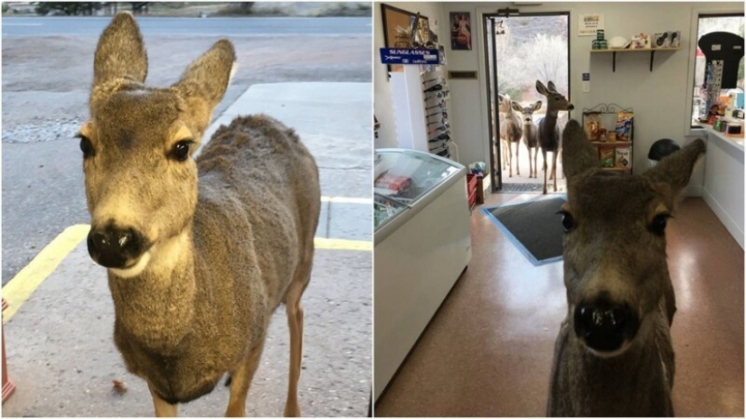 20+ interesting facts from history that show the world from the other side 20+ interesting facts from history that show the world from the other side