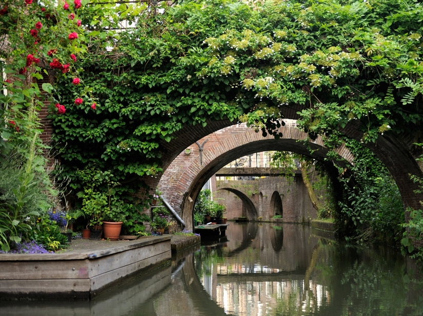 20 most cycling cities in the world