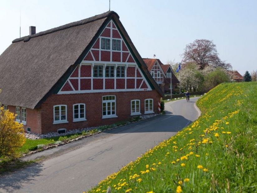 20 most cycling cities in the world