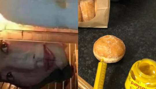 20 photos proving that people were much more stylish in the past