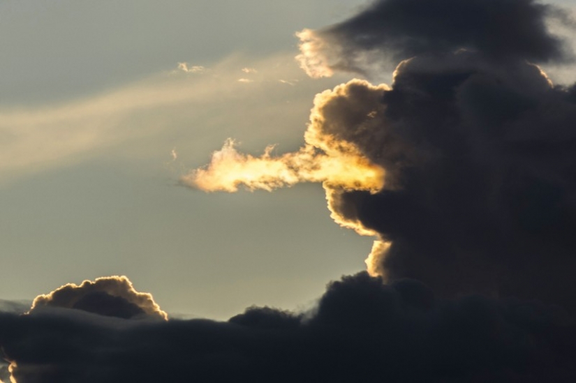 20 photos taken at the right moment that will make you look