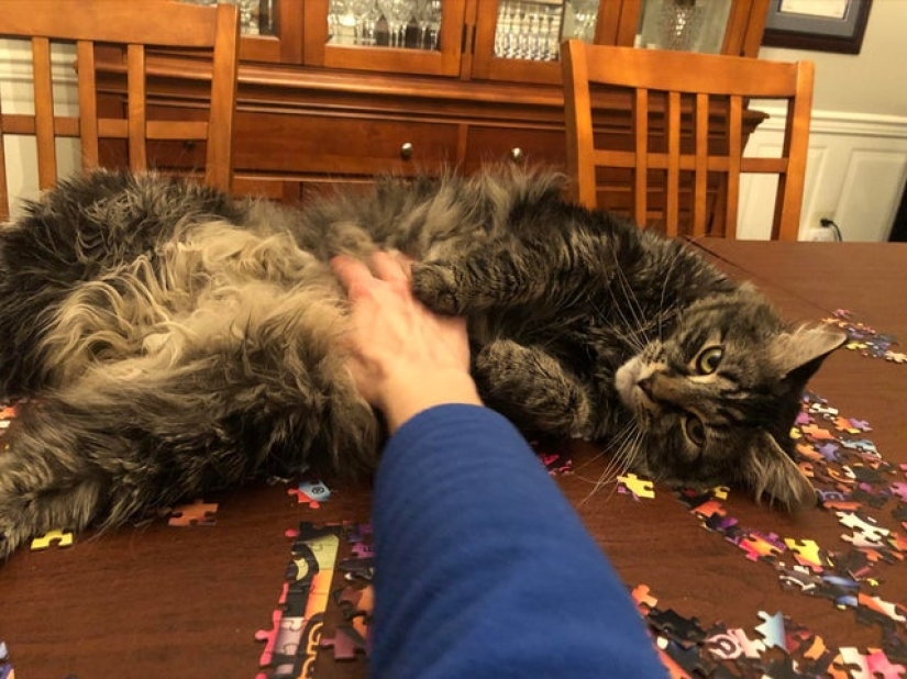 20 pruebas de que los bikinis se pueden usar con cualquier figura