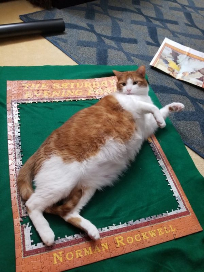 20 pruebas de que los bikinis se pueden usar con cualquier figura