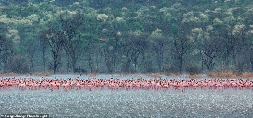 20 stunning photos from the winners of the Photo Is Light World Photography contest 20 stunning photos from the winners of the Photo Is Light World Photography contest