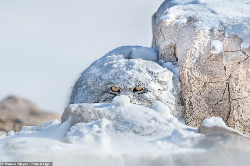 20 stunning photos from the winners of the Photo Is Light World Photography contest 20 stunning photos from the winners of the Photo Is Light World Photography contest
