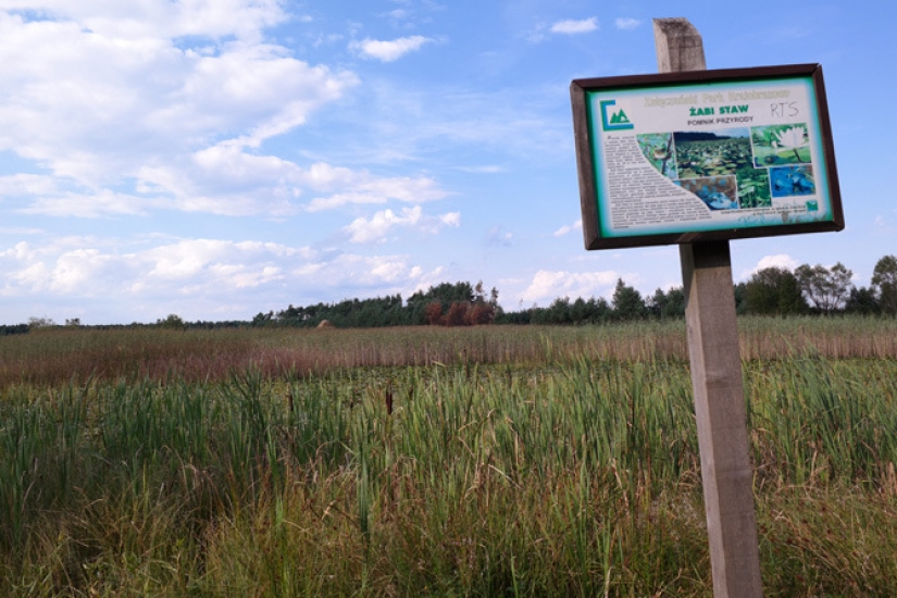 20 useful tips for a beginner photographer