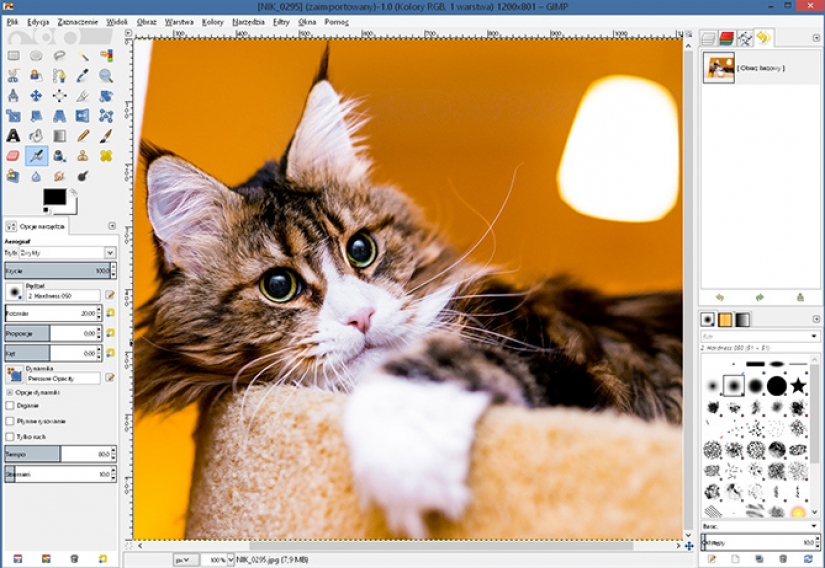 20 useful tips for a beginner photographer