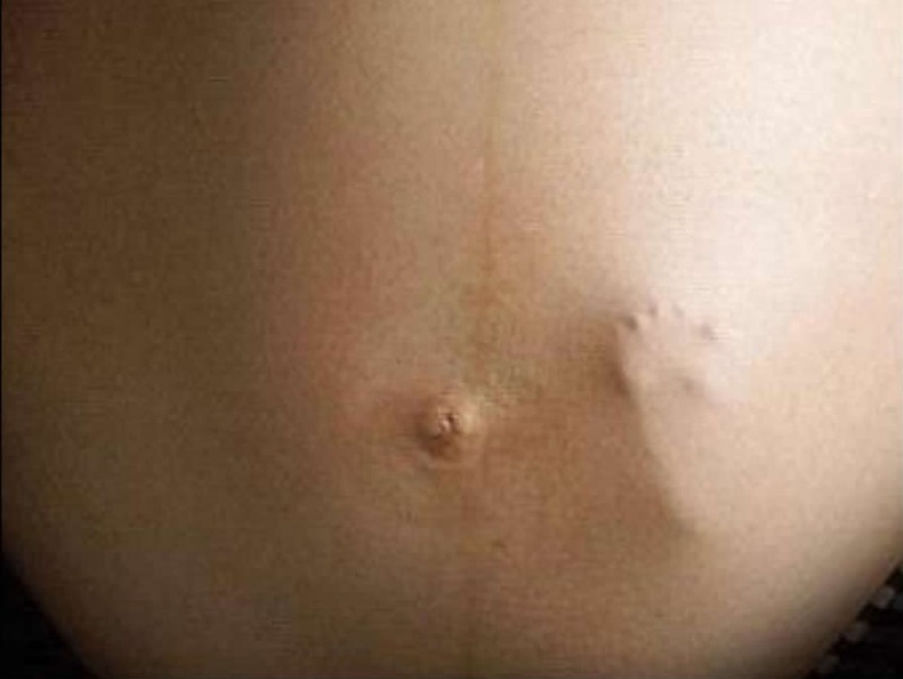 20 viral photos that turned out to be fake 20 viral photos that turned out to be fake