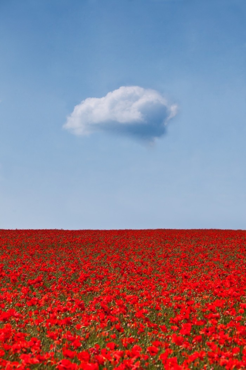 21 fotos para aquellos que entienden el minimalismo