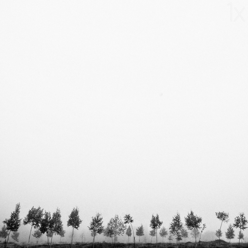 21 photos for those who understand minimalism 21 photos for those who understand minimalism