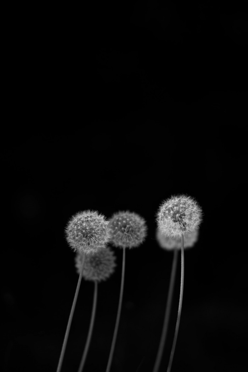 21 photos for those who understand minimalism 21 photos for those who understand minimalism