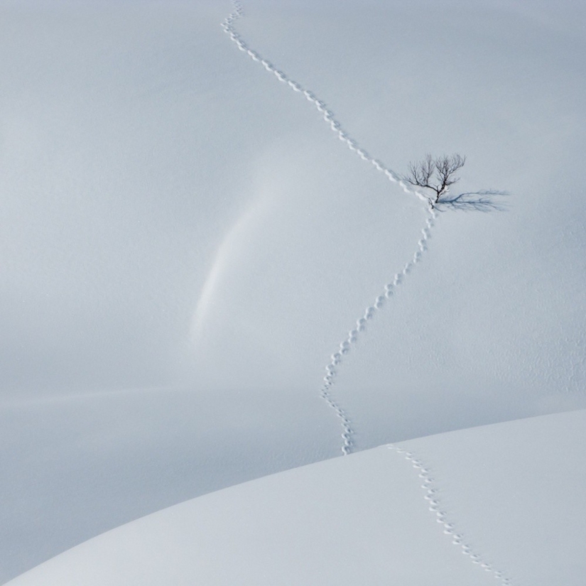 21 photos for those who understand minimalism 21 photos for those who understand minimalism