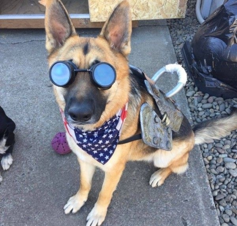 22 desperate video game fans take them to real life