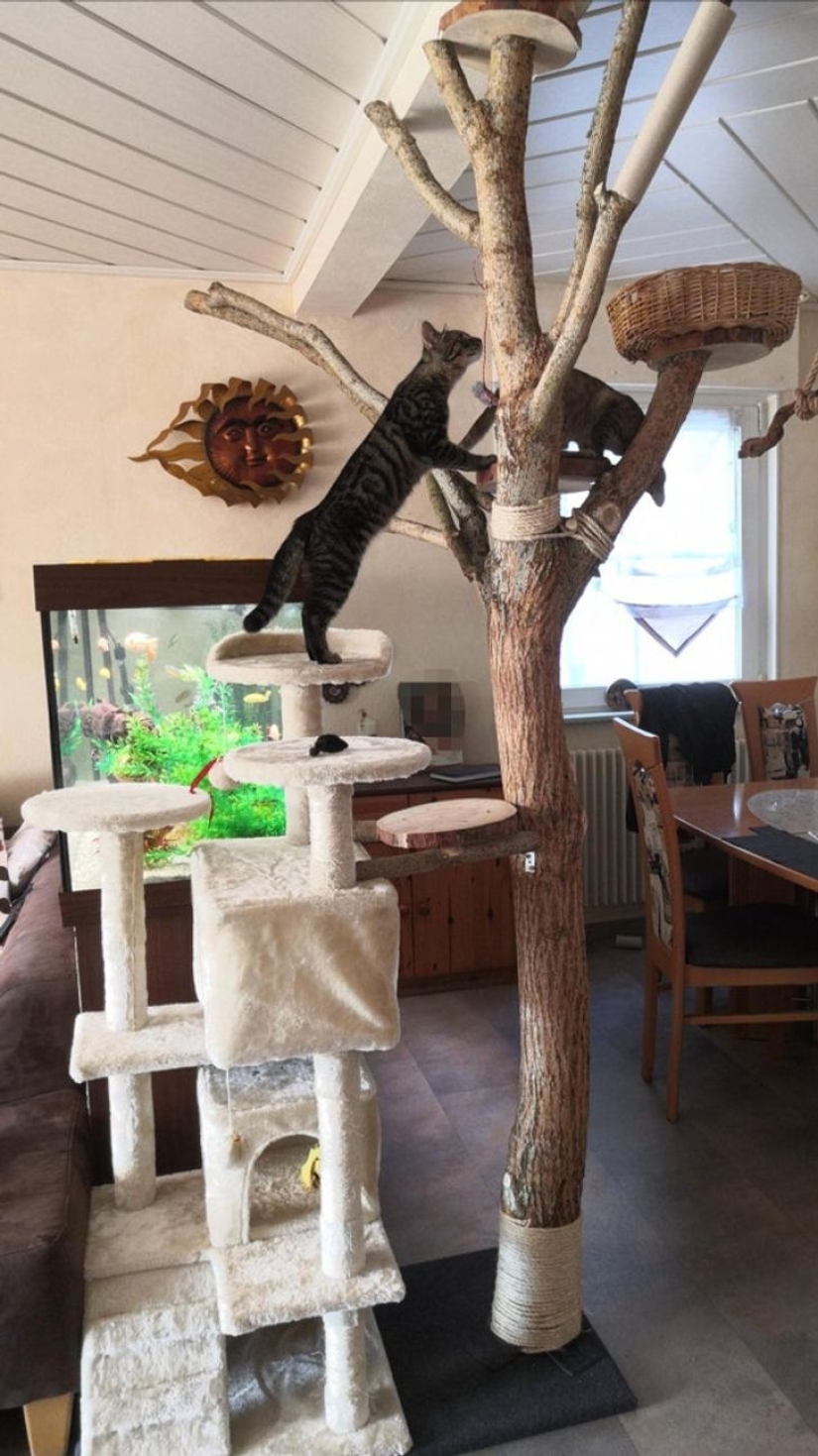 22 strong-armed fathers who didn't waste time in quarantine