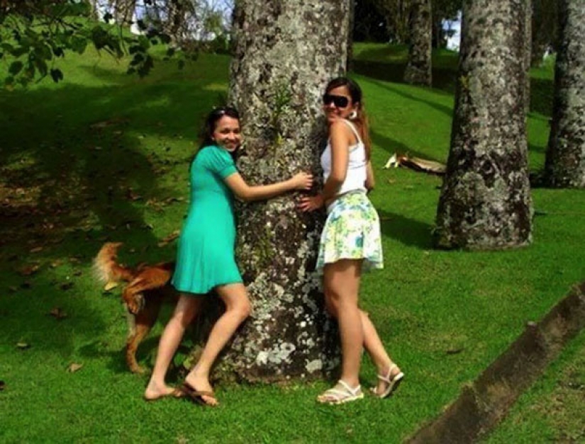 23 perros que son genios de la foto bomba