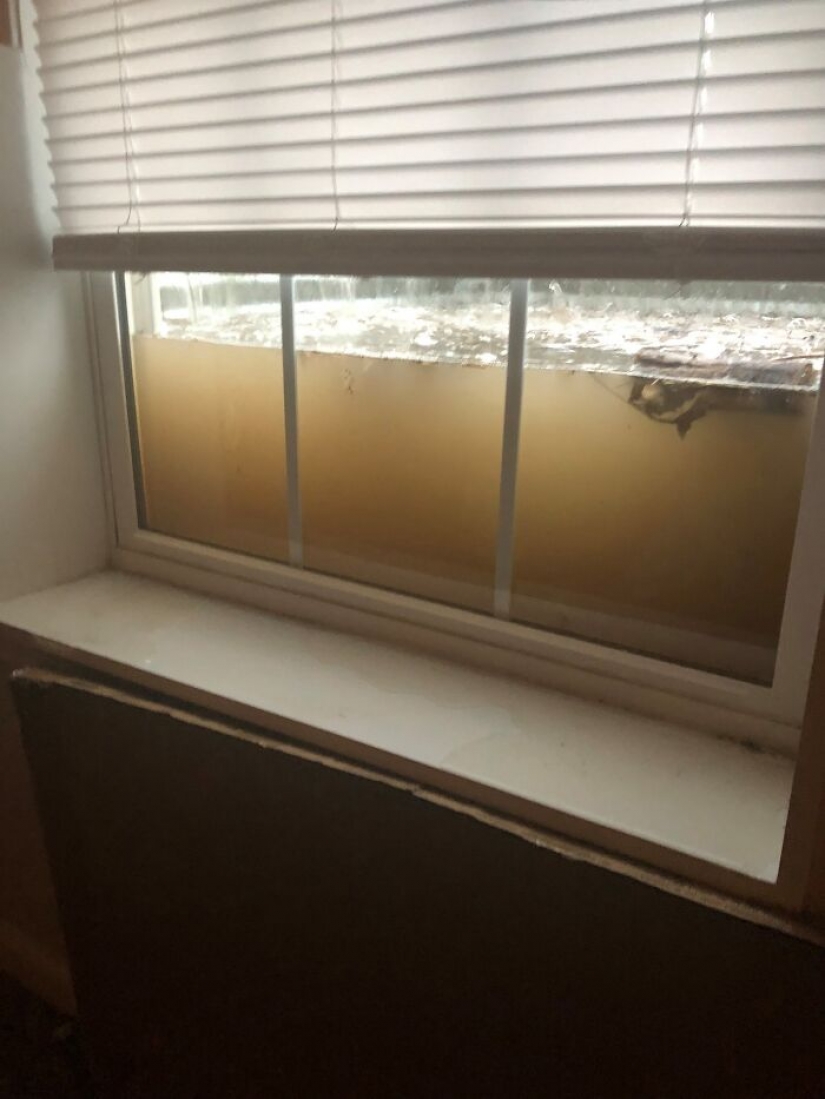 24 times nature made people say "well, that sucks"