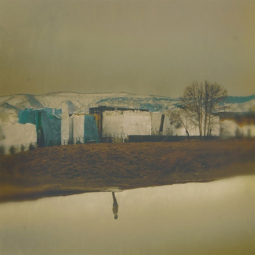 25 impresionantes fotos de los finalistas de los Sony World Photography Awards 2021