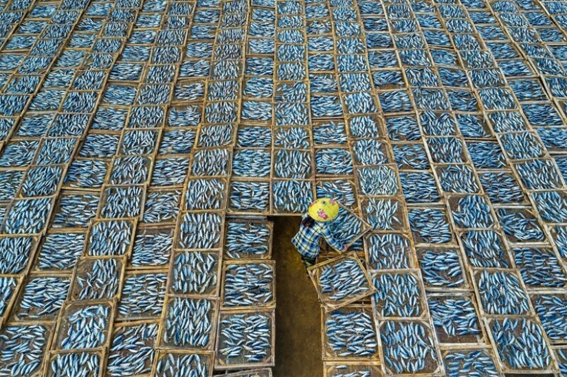 25 impresionantes fotos de los finalistas de los Sony World Photography Awards 2021