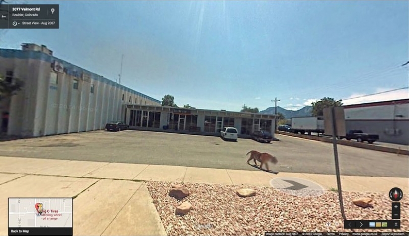 25 of the Craziest Shots Taken on Google Street View Cameras