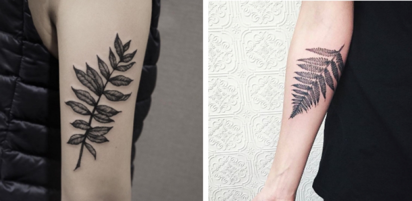 25 revelaciones de cirujanos plásticos que destruyen estereotipos sobre su trabajo 25 revelaciones de cirujanos plásticos que destruyen estereotipos sobre su trabajo