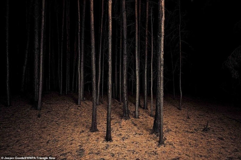 26 impresionantes fotos de los ganadores de la Naturaleza World Photography Awards