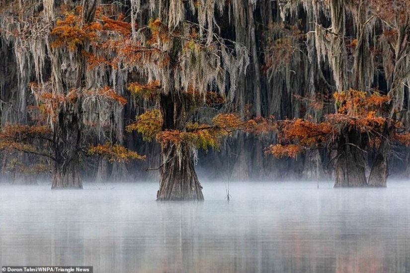 26 impresionantes fotos de los ganadores de la Naturaleza World Photography Awards