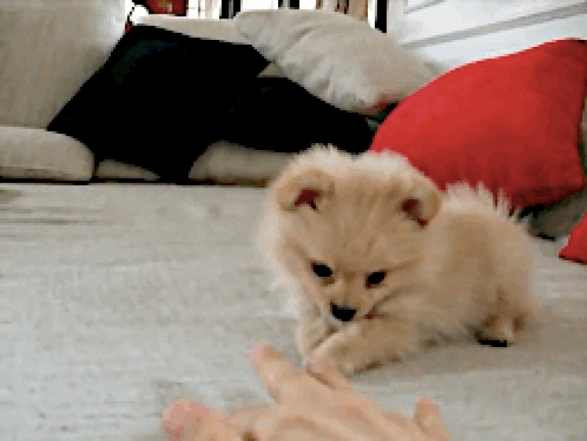 27 things that are better to do before going to bed than to be stupid in the series